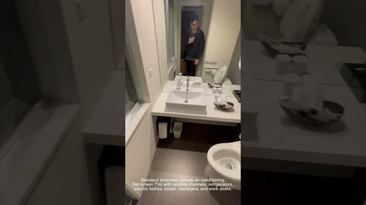 Japan - Daiwa Roynet Hotel Koriyama-Ekimae