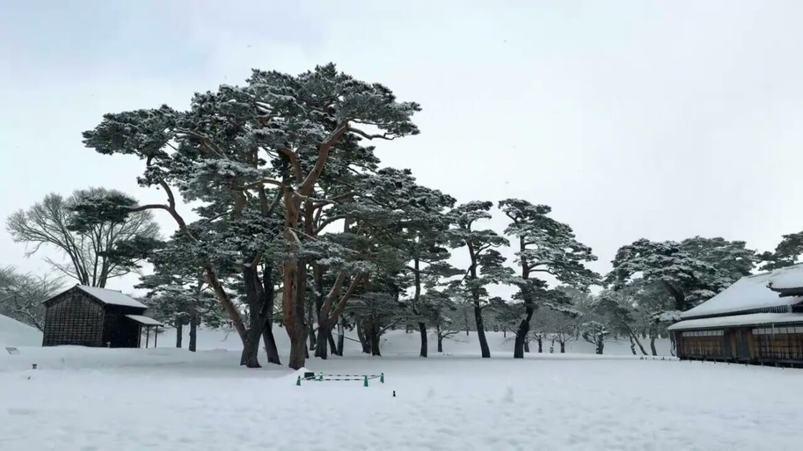 Travel Walks: Goryōkaku