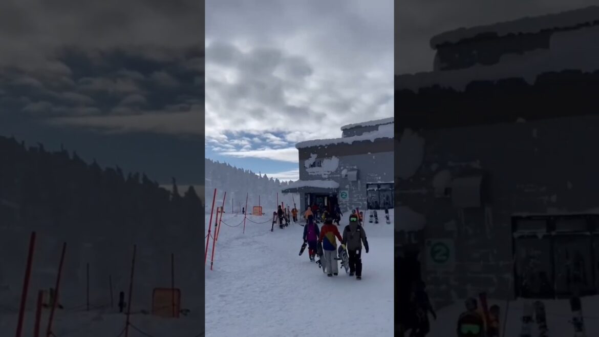 Snow monsters Zao Onsen Ski #Resort Yamagata Japan