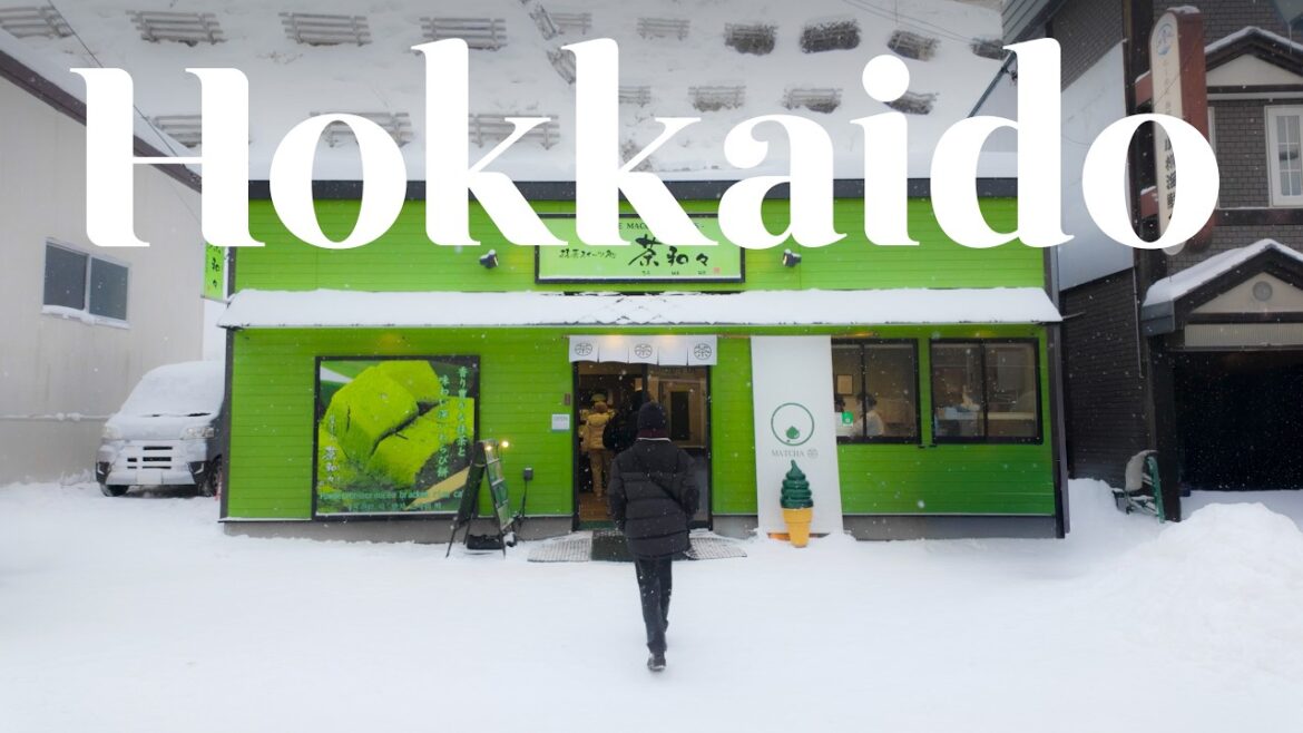 5-Day Winter Trip to 3 Cities in Hokkaido | Sapporo ⎮ Otaru ⎮ Asahikawa (Chill Vlog) 5-Day Winter Trip to 3 Cities in Hokkaido | Sapporo ⎮ Otaru ⎮ Asahikawa (Chill Vlog)