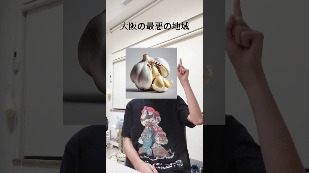 大阪の最悪の地域 #shorts #大阪 #ランキング