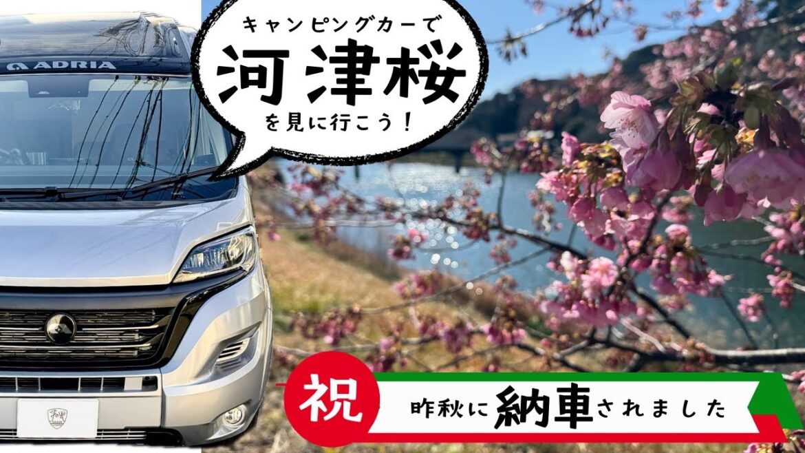 河津桜を見に行こう！秋に納車されたキャンピングカーで伊豆旅へ