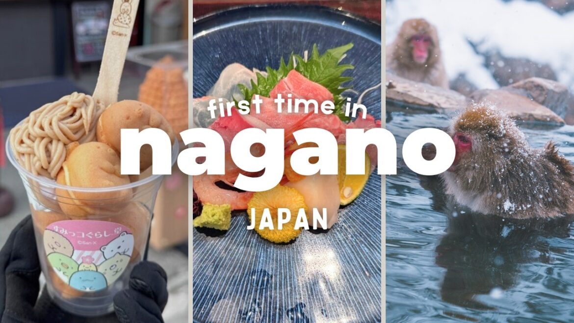 1 day in nagano & snow monkey park | Japan VLOG 1 day in nagano & snow monkey park | Japan VLOG
