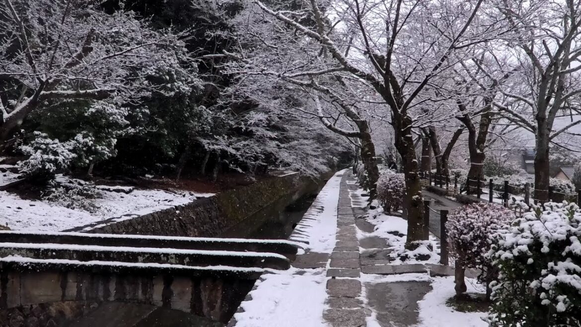 [4K] KYOTO WALKING TOUR ⎜ PASSEGGIATA MATTUTINA AL SENTIERO DEL FILOSOFO INNEVATO ❄️❄️❄️