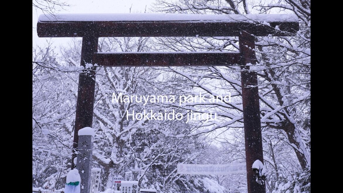 Japan | Hokkaido | Sapporo | Maruyama park and Hokkaido jingu