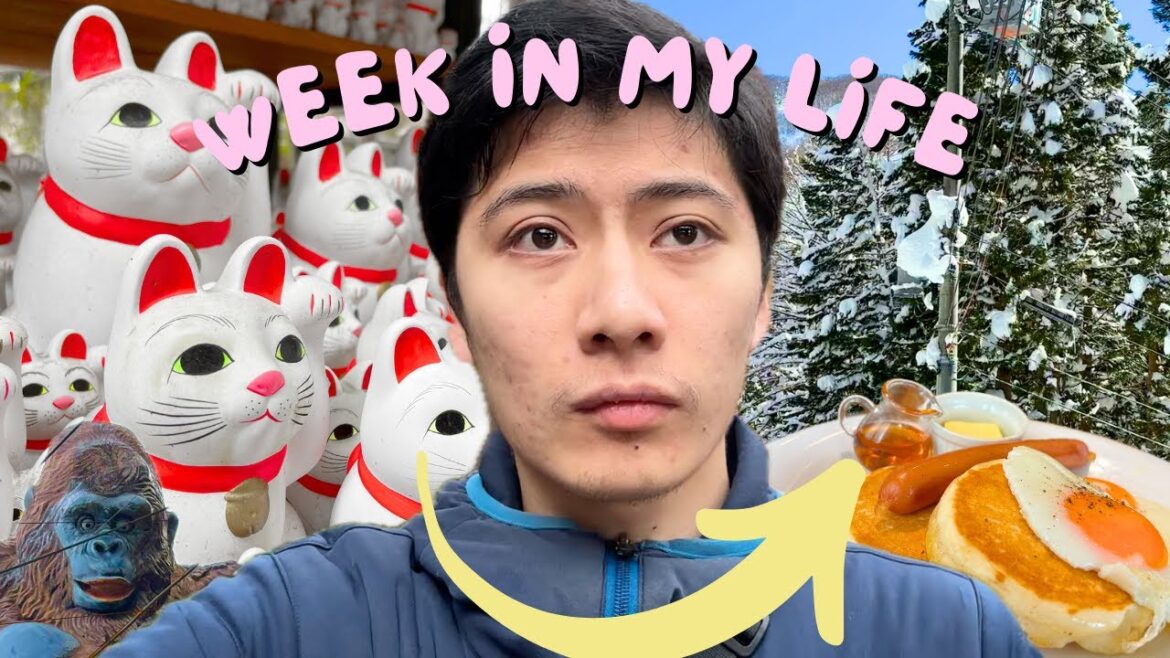 Tokyo to Ski Resort in 2 Hours – week in my life in japan! Tokyo to Ski Resort in 2 Hours - week in my life in japan!
