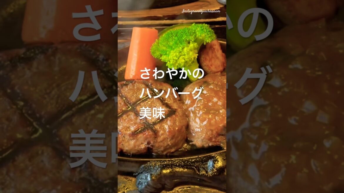 掛川花鳥園&さわやかハンバーグの最高コンボ!癒しとグルメを満喫!静岡観光 #さわやかハンバーグ #shortsvideo #掛川花鳥園 掛川花鳥園&さわやかハンバーグの最高コンボ!癒しとグルメを満喫!静岡観光 #さわやかハンバーグ #shortsvideo #掛川花鳥園