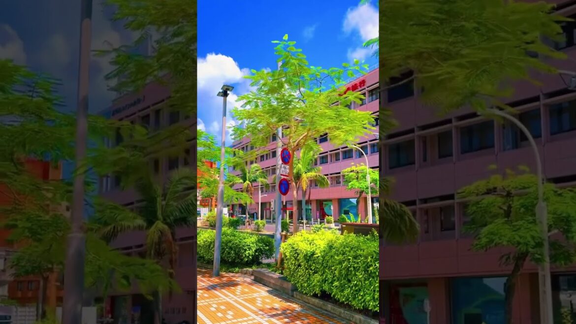 Imagine you are spending your days in Okinawa Imagine you are spending your days in Okinawa