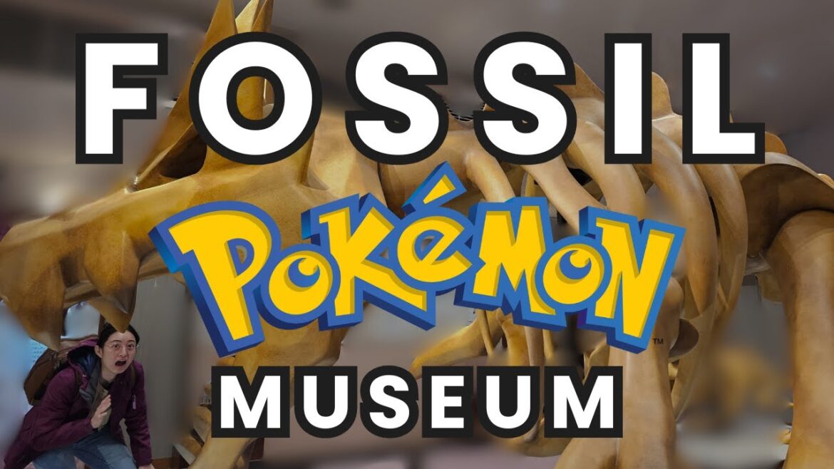 Pokemon Fossil Museum Travel Guide Japan