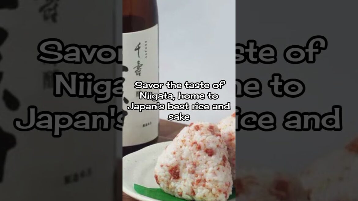 Experience the beauty and taste of Niigata! ๐พ๐ถ #niigatajapan #sakelover Experience the beauty and taste of Niigata! ๐พ๐ถ #niigatajapan #sakelover