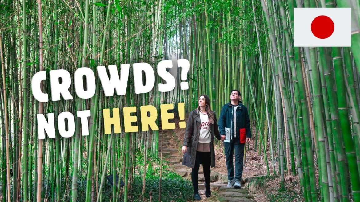 The SECRET to Enjoying Kyoto 🇯🇵 Things to Do, Eat, and See! The SECRET to Enjoying Kyoto 🇯🇵 Things to Do, Eat, and See!