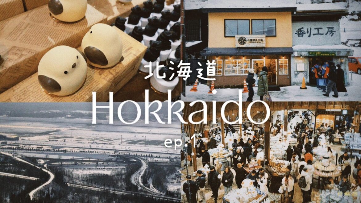 [ep.1] hokkaido vlog 🦀 | sapporo, otaru day trip, ROYCE' cacao & chocolate town