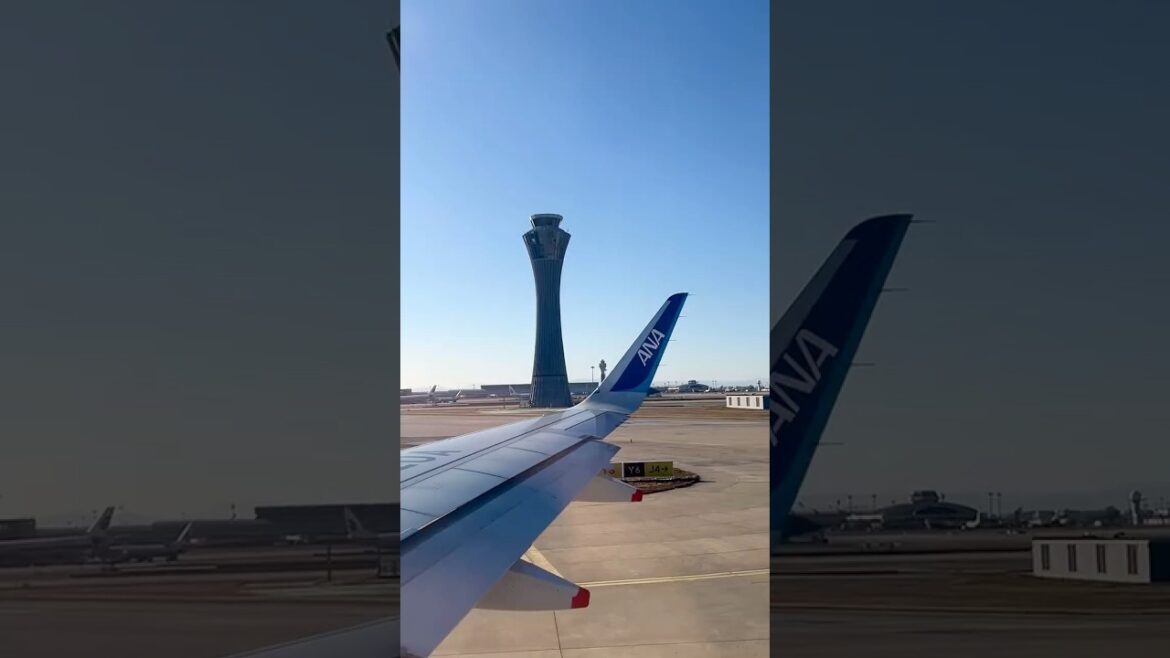 Opiniones de volar con ANA (All Nippon Airways) a Japón 🎌