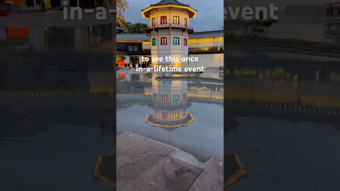 I caught a hidden gem in Matsushima, Japan! #japan #travel #shorts #hiddengems #autumn I caught a hidden gem in Matsushima, Japan! #japan #travel #shorts #hiddengems #autumn