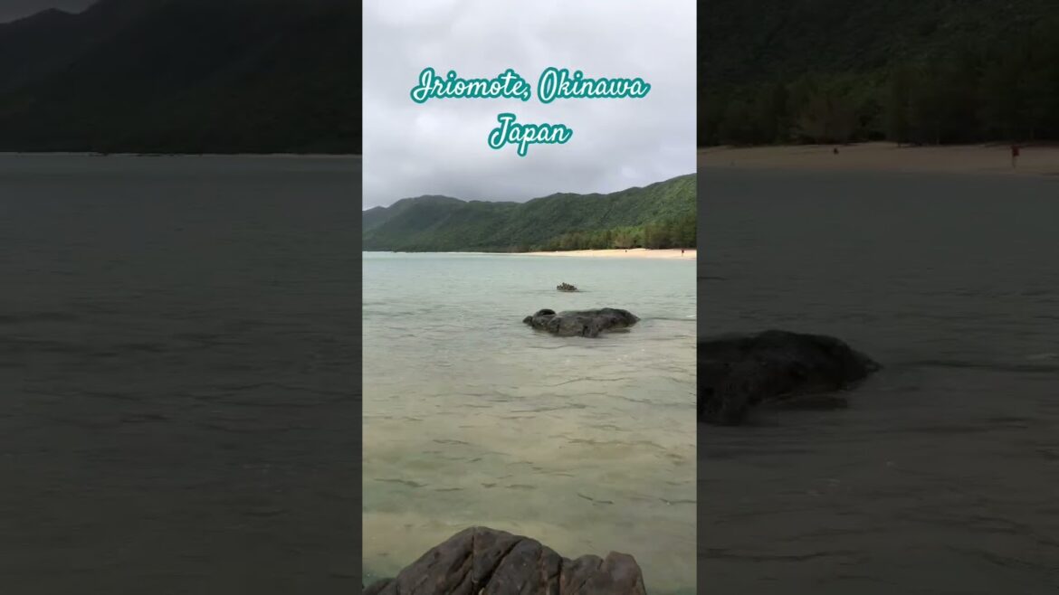 Iriomote, Okinawa—where pristine beaches meet lush jungles! #beach #travel #okinawa #japan