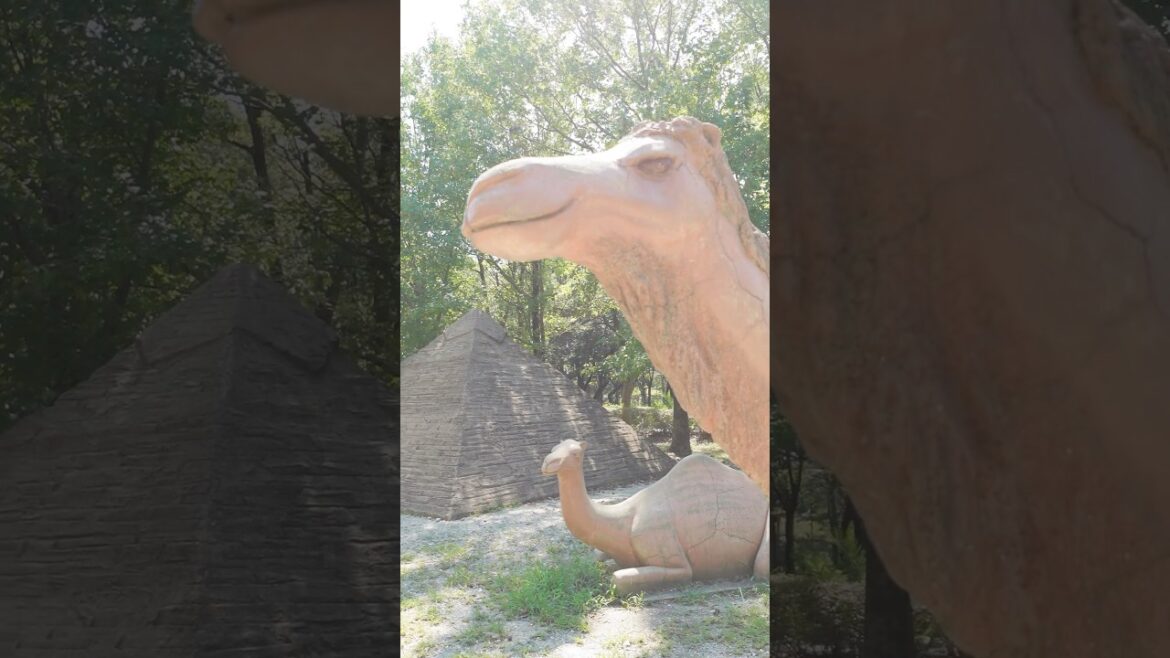 【オススメ スポット / Recommended Spot】エジプト!? / Is it Egypt? #豊橋 #aichi 【オススメ スポット / Recommended Spot】エジプト!? / Is it Egypt? #豊橋 #aichi