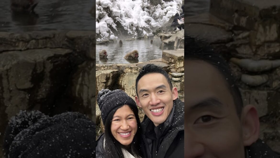 Our Travel Diary - Snow Monkey Park, Nagano, Japan! #jigokudanimonkeypass #nagano #japan