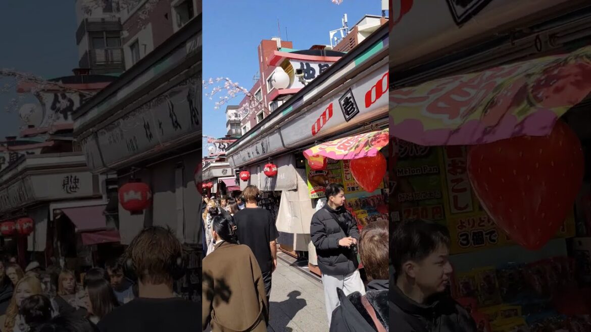 Exploring Nakamise-dori Street in Tokyo | Senso-ji Temple Walkthrough Exploring Nakamise-dori Street in Tokyo | Senso-ji Temple Walkthrough