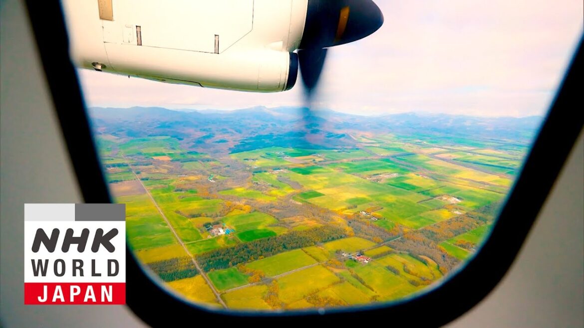 Sapporo to Nakashibetsu Airport - On the Wings