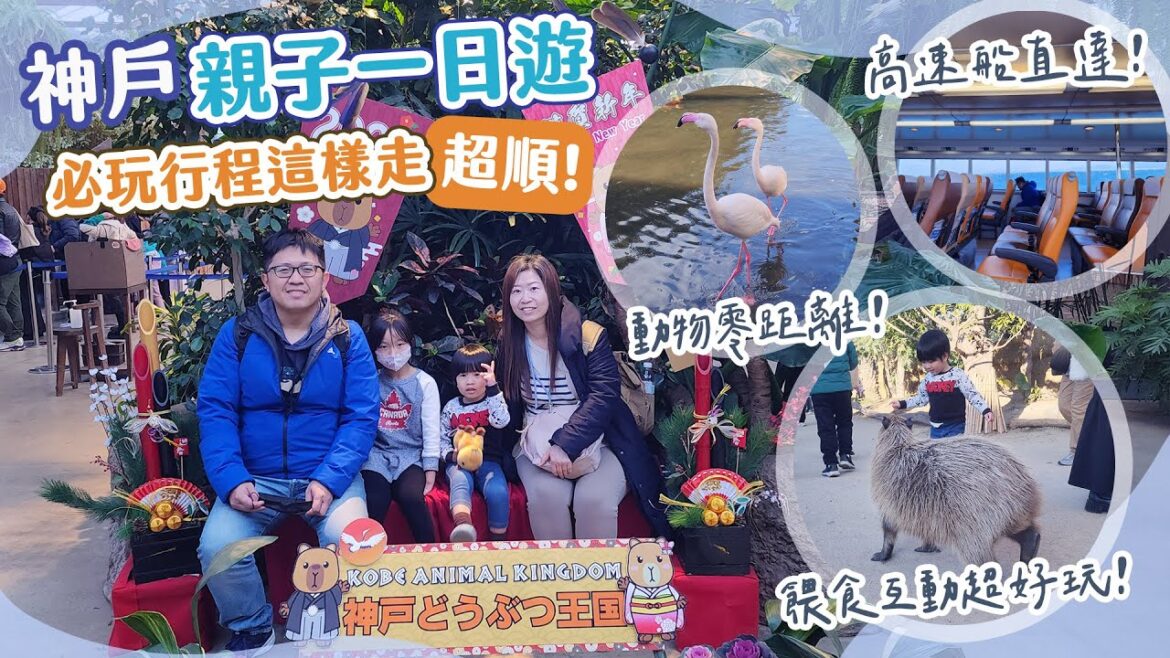 搭30分鐘高速船直衝神戶!親子一日遊這樣玩超順!|關西親子必訪行程-神戶動物王國+神戶三宮中心街 搭30分鐘高速船直衝神戶!親子一日遊這樣玩超順!|關西親子必訪行程-神戶動物王國+神戶三宮中心街