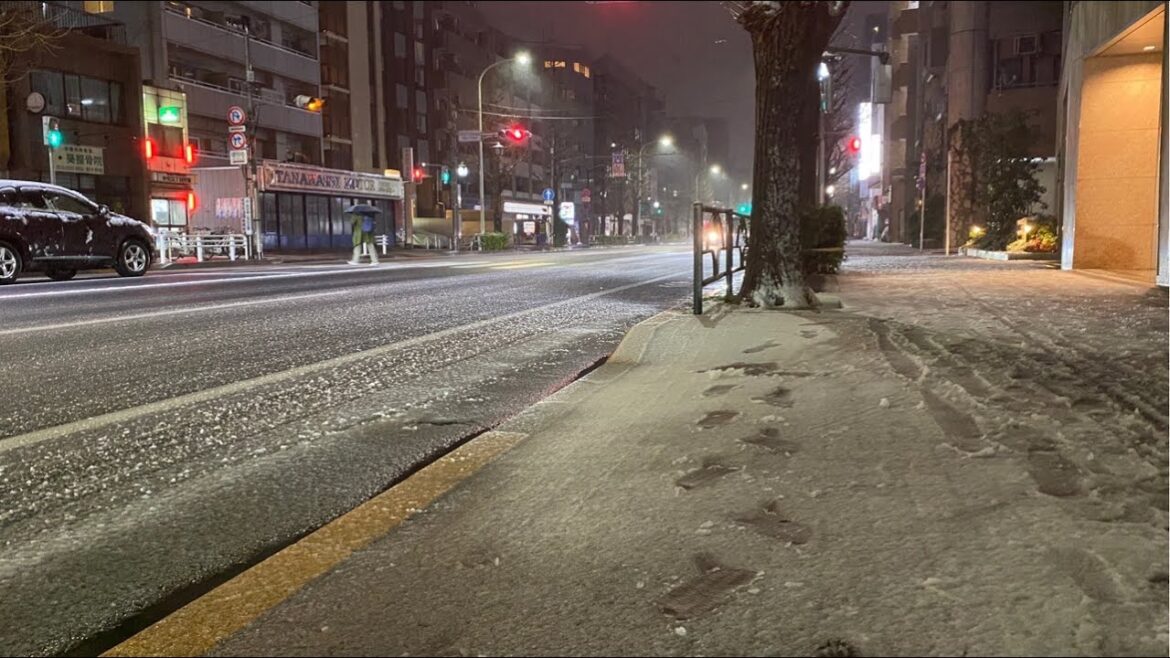 Live Walk Tokyo: Harajuku Night Rainy Stroll | Japan Live Walk Tokyo: Harajuku Night Rainy Stroll | Japan