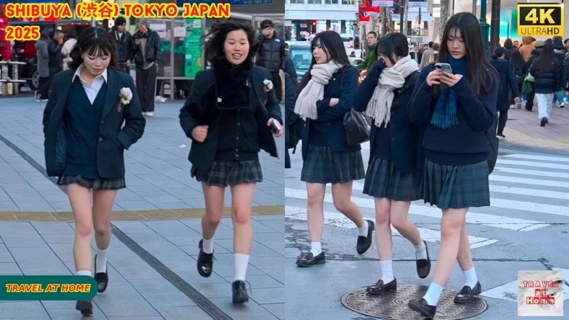4k hdr Japan travel 2025 | Walk in Shibuya (渋谷) Tokyo Japan |  Relaxing Natural City ambience