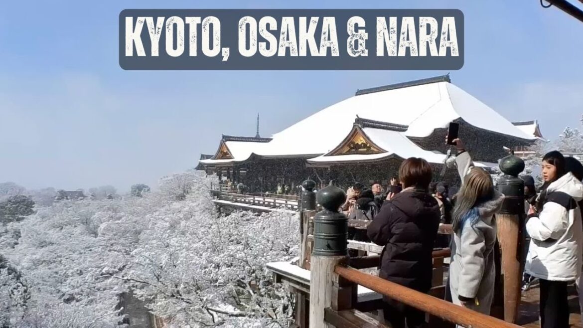 The best of Kyoto, Osaka & Nara: What’s Worth It & What to Skip!