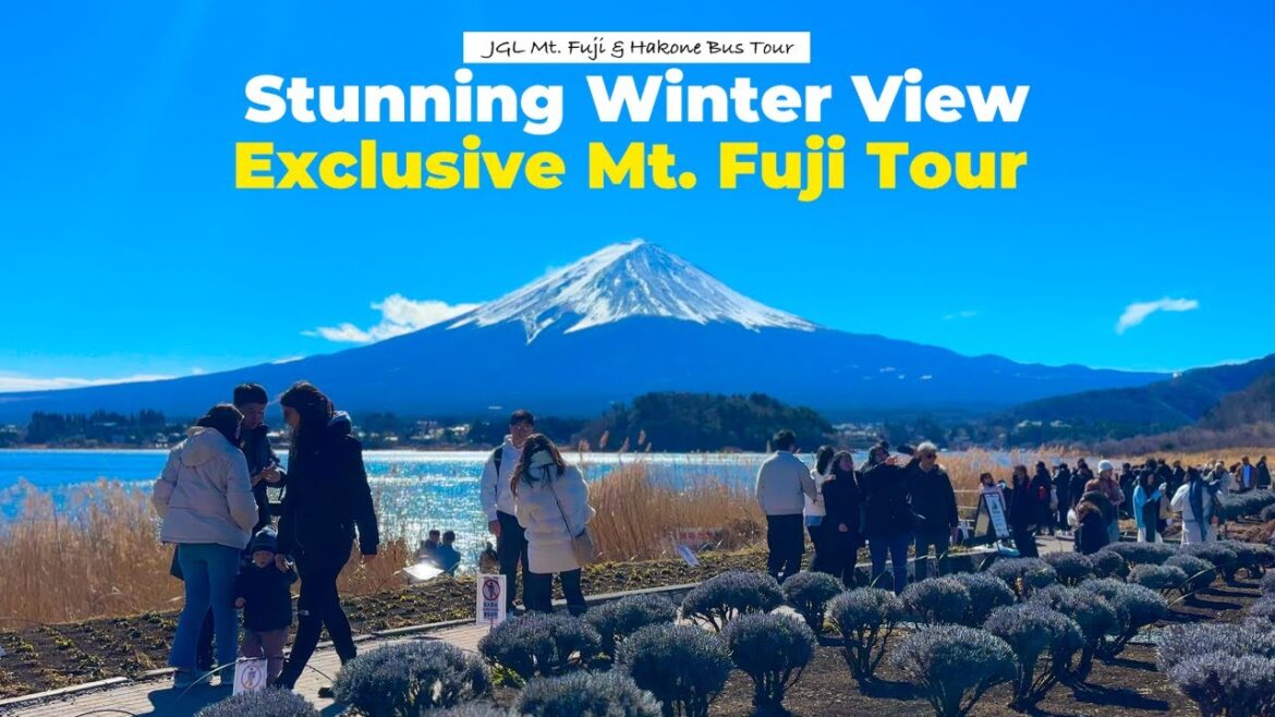 Hidden Mt. Fuji Spots in Winter! Only on This JGL Tour