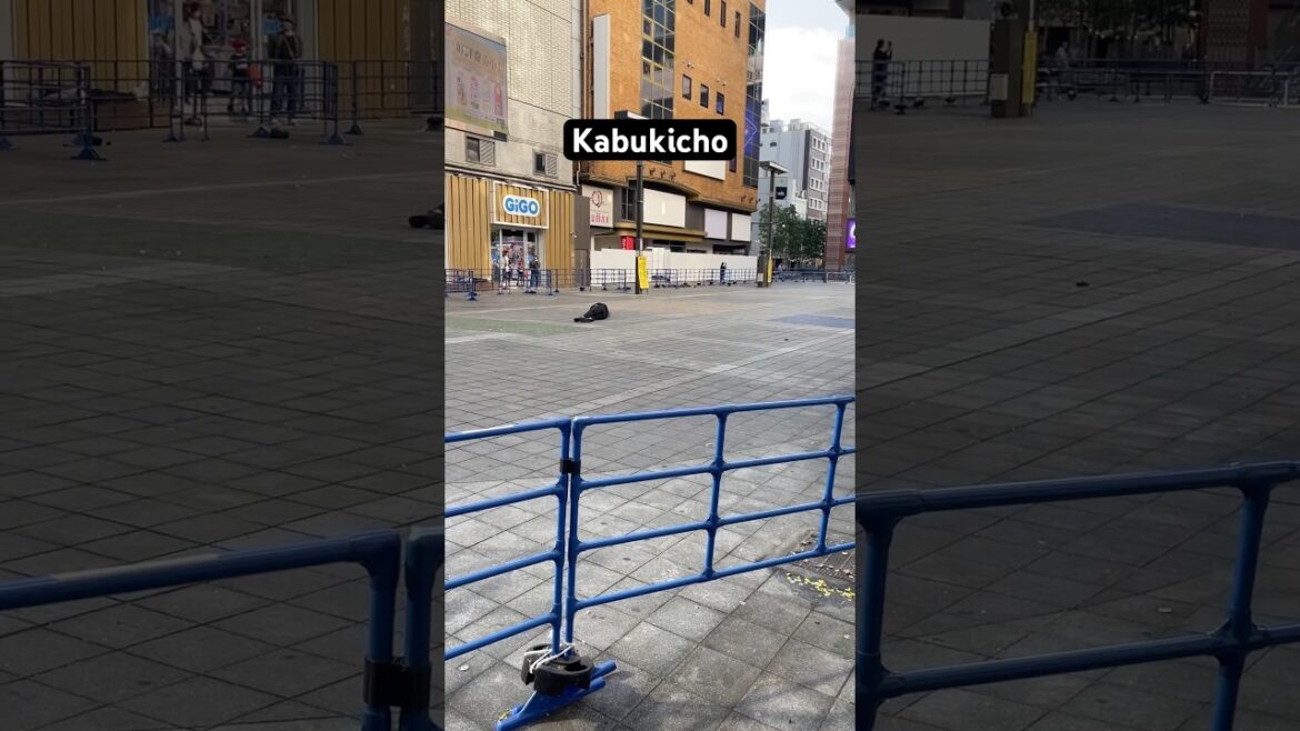 Kabukicho, Tokyo #marinjapan #travel #kabukicho #shinjuku #tokyo #japan #sleeping #urbanexploration