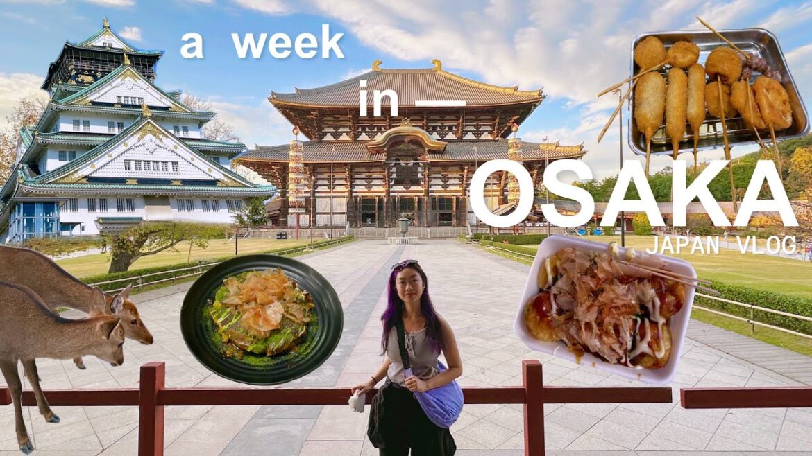 japan vlog 🏯 a week in osaka: dotonbori, nara park, todai-ji, osaka castle, aquarium kaiyukan