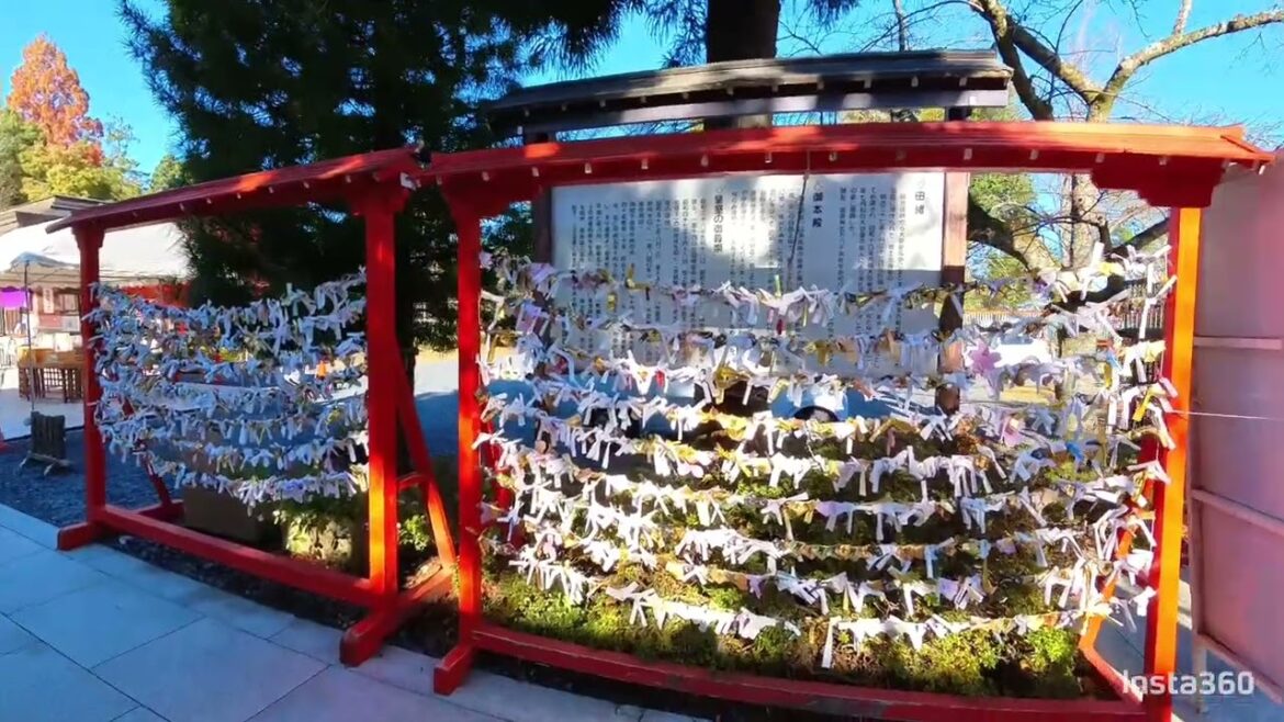 Nov 2024 Sendai, Japan