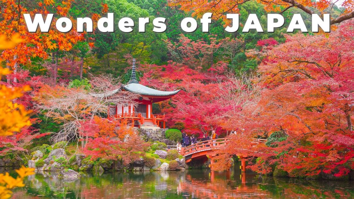 Wonders Of Japan | 4K Documentary Video of Japan Wonders Of Japan | 4K Documentary Video of Japan
