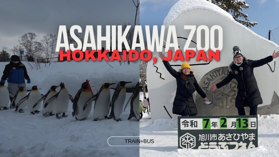 Asahiyama Zoo I Asahikawa  Sapporo, JAPAN 🇯🇵