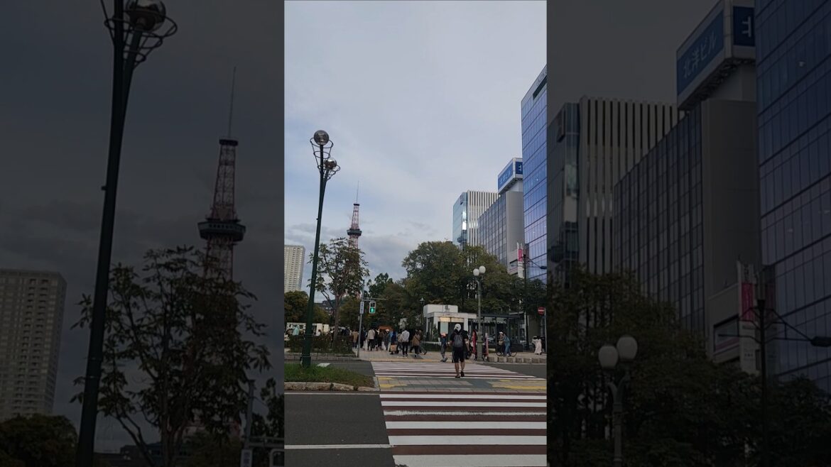 Sapporo TV Tower#travel #shorts#hokkaidojapan #japan#streets#walking