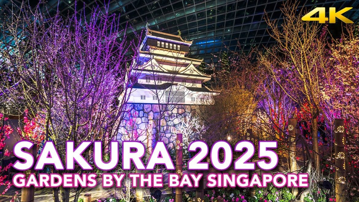 Sakura 2025: Gardens by the Bay Night Tour! Yozakura & Phantom Castle Sakura 2025: Gardens by the Bay Night Tour! Yozakura & Phantom Castle