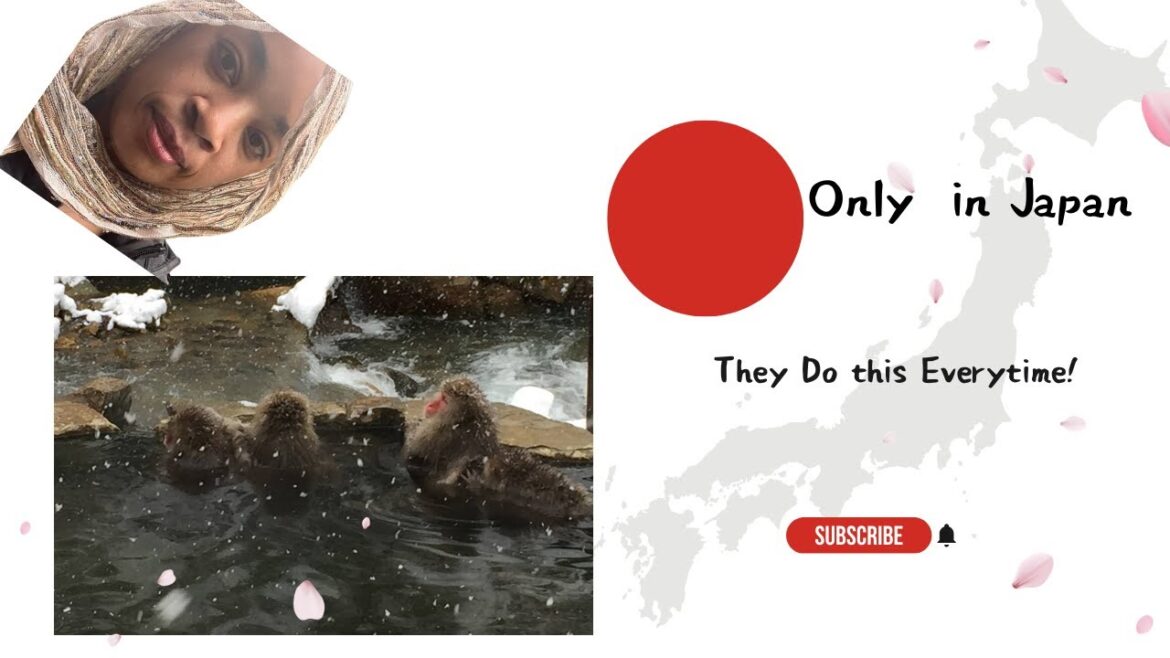 Snow Monkey Park Nagano, Japan