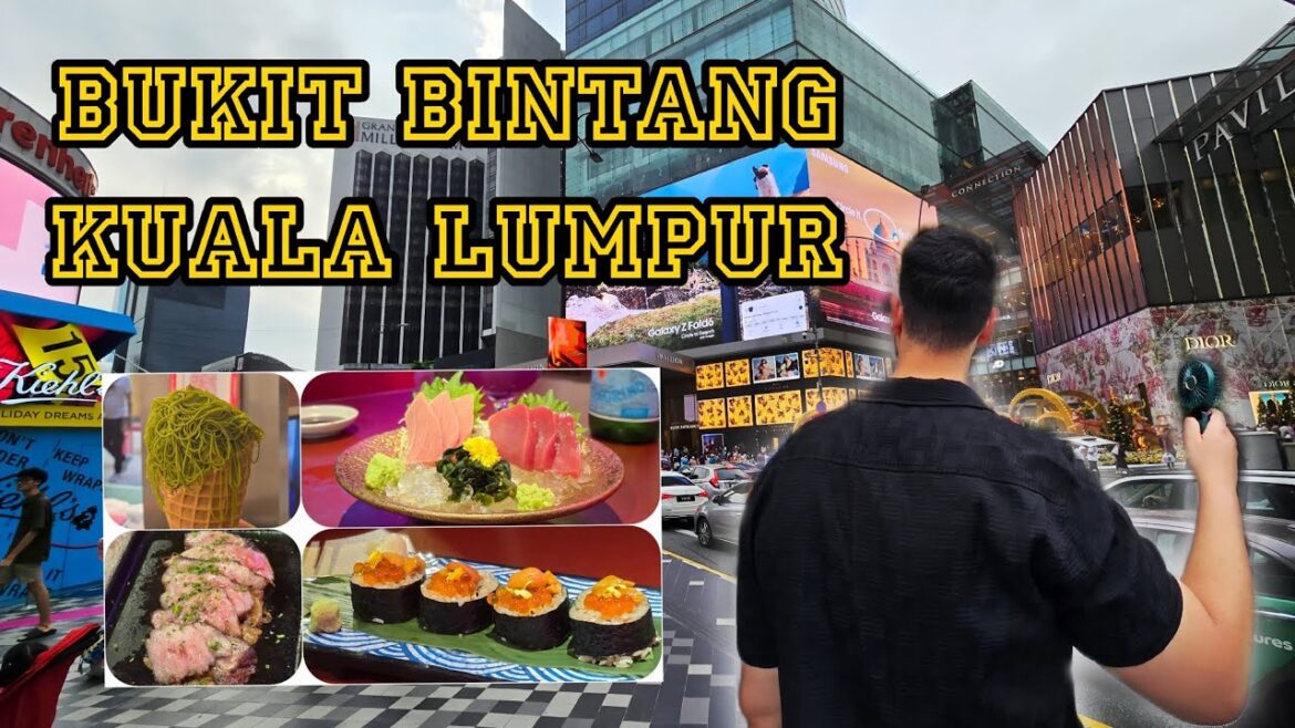 Bukit Bintang Crossing to Tokyo Street: A Japanese Food Adventure in Kuala Lumpur! 🇲🇾🍣
