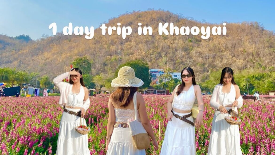 Khao Yai🍃| Travel with Belle