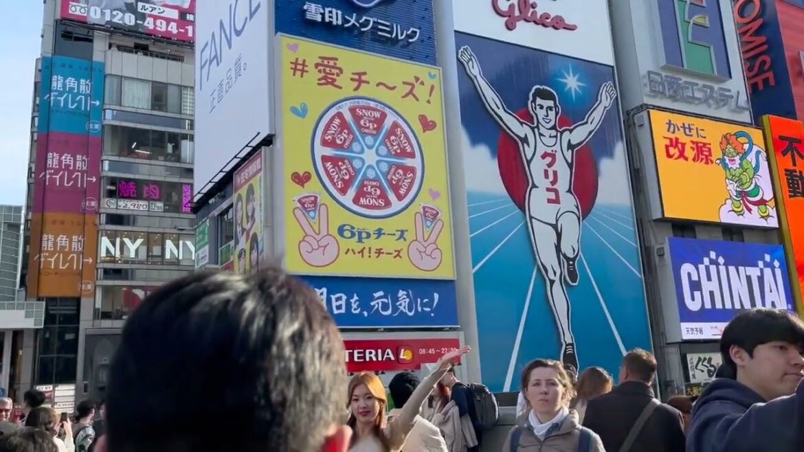 Japanese Railway Tour: Uji, Nara, Osaka, Okayama, Kurashiki