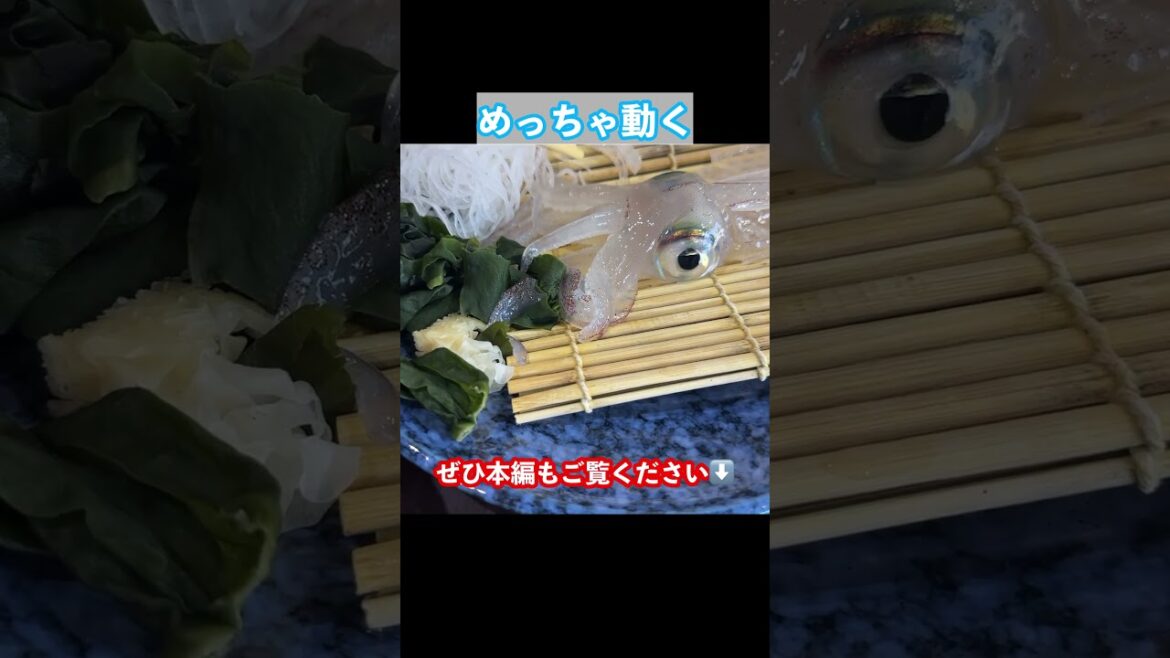 【佐賀観光】佐賀旅行の思い出 #佐賀グルメ #佐賀観光 #佐賀旅行