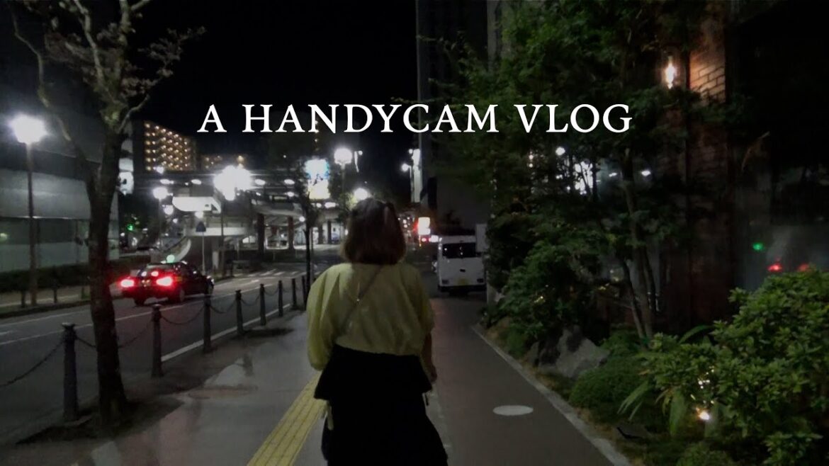 That time we missed our flight home from Japan That time we missed our flight home from Japan