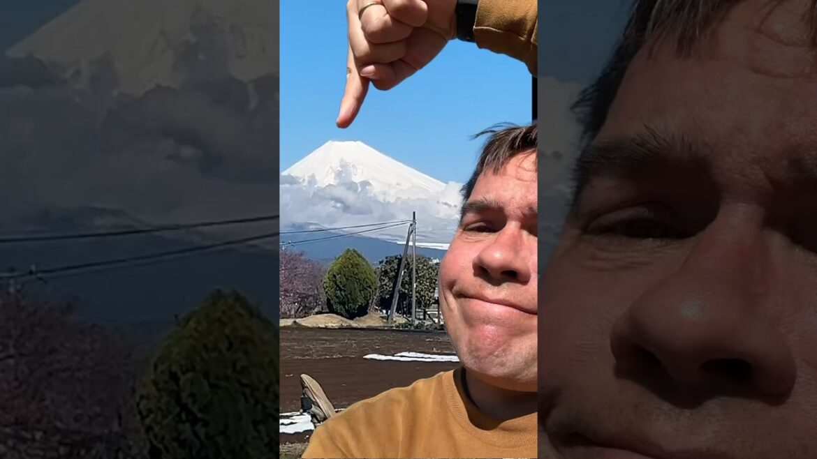 Mt. Fuji: Every Day, Sometimes… or Just When I Feel Like It?