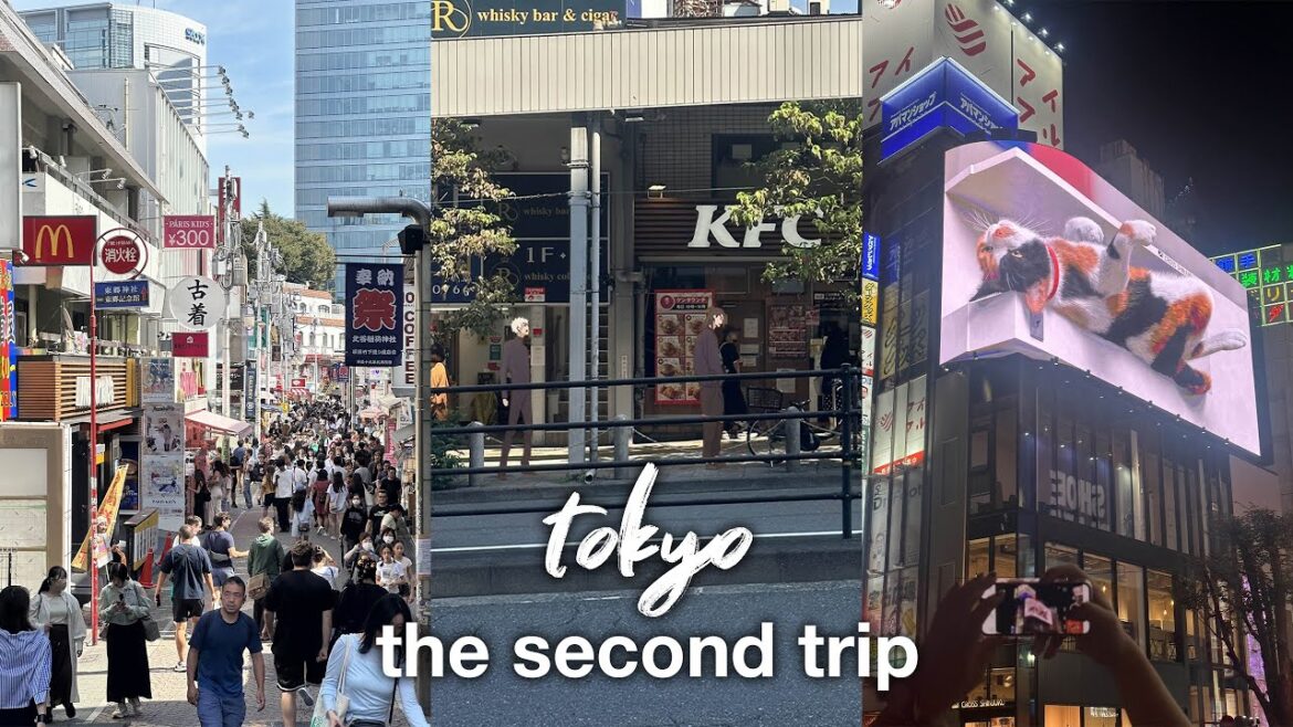 tokyo // queueing simulator. death note exhibition, disneysea, teamlabs and ikebukuro bbq! tokyo // queueing simulator. death note exhibition, disneysea, teamlabs and ikebukuro bbq!