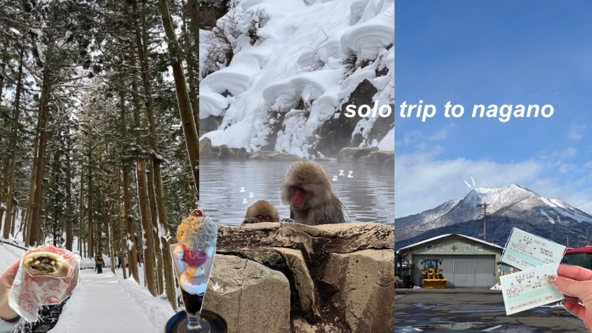 winter trip to nagano 🐒 | snow monkeys, eating around nagano, obuse, snow days