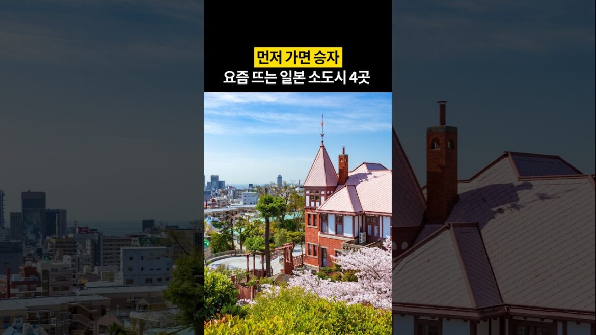 뻔한 일본 여행이 지겹다면 여기 추천