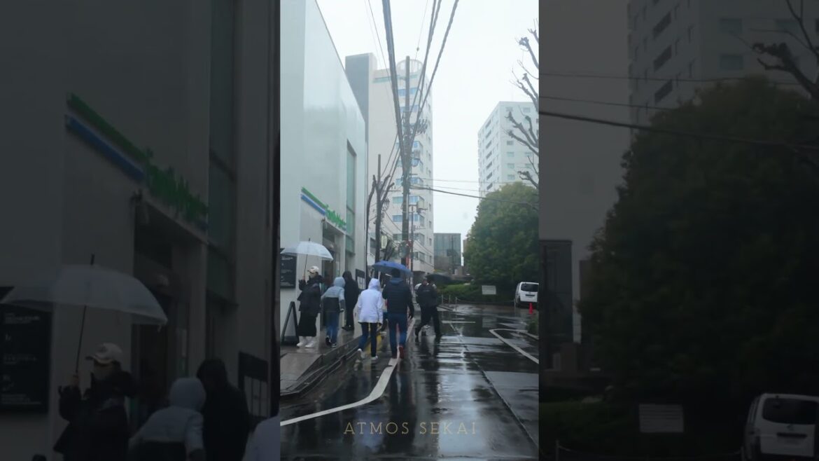 🌧️ Rainy Tokyo Walk Tour | Ebisu & Daikanyama in Japan #rain #tokyowalk #travel #rainwalk