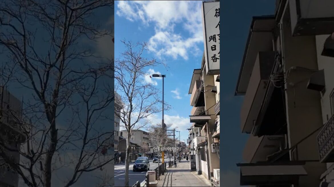 ★SHORTS045 교토의 하늘 #JAPAN #KYOTO  #food #오사카맛집 #streetfood #takoyaki #교토맛집 #japanesefood ★SHORTS045 교토의 하늘 #JAPAN #KYOTO  #food #오사카맛집 #streetfood #takoyaki #교토맛집 #japanesefood