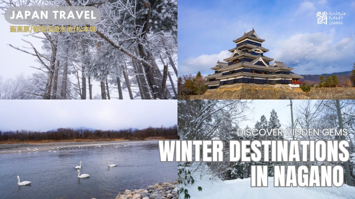 Winter destinations in Nagano – from hidden gems to famous landmark【長野・聖高原】 Winter destinations in Nagano - from hidden gems to famous landmark【長野・聖高原】