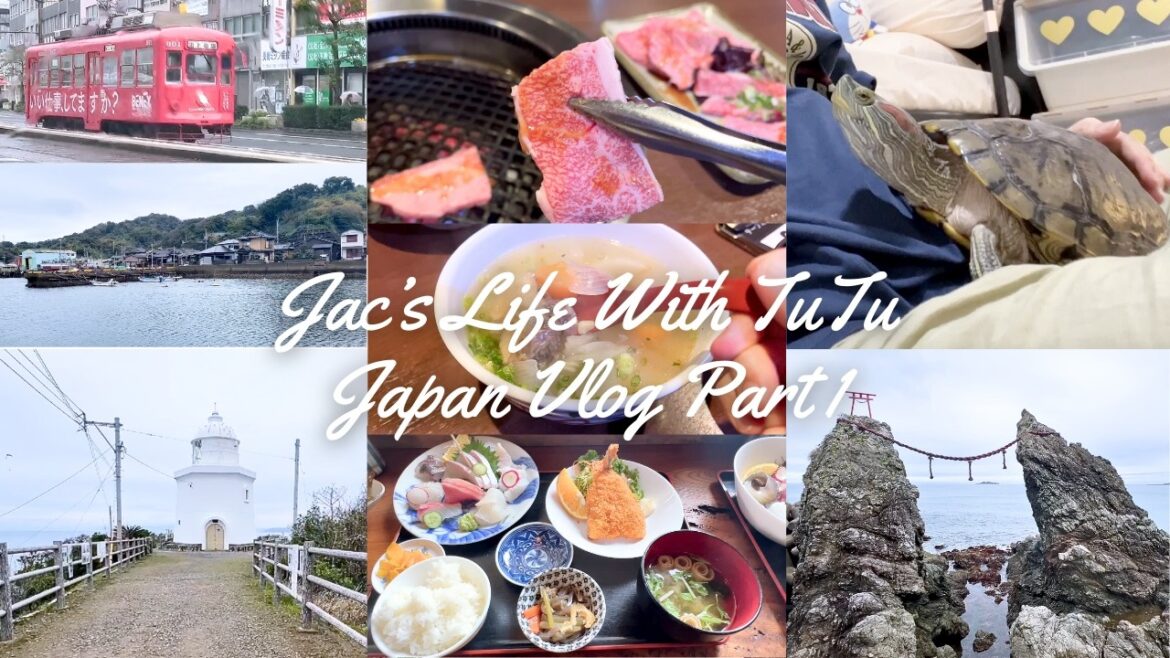 Japan Nagasaki I-Land Nomozaki Part 1| Fresh Seafood & Yakiniku | Leaving My Pet Turtle [Vlog #10] 🐢