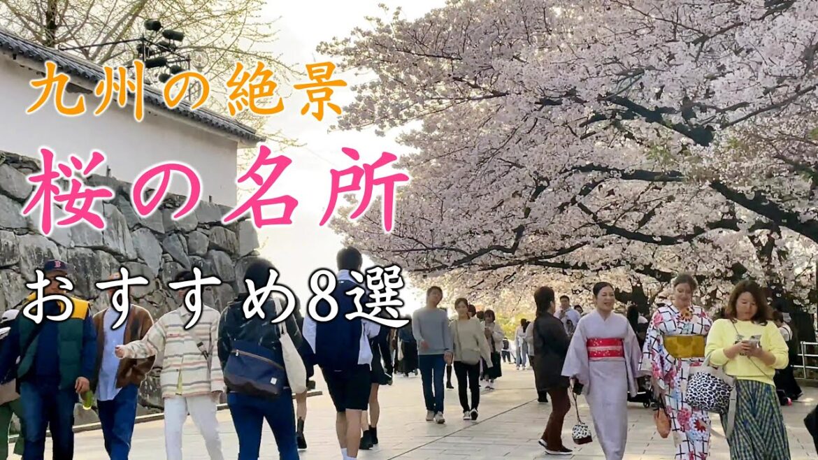 九州の絶景🌸「桜の名所」今年も見たい桜の絶景 九州の絶景🌸「桜の名所」今年も見たい桜の絶景